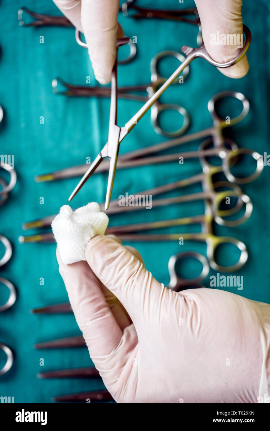 Chirurg im Operationssaal arbeiten, die Hände mit Handschuhen holding Schere mit torunda, konzeptionelle Bild, vertikale Zusammensetzung Stockfoto