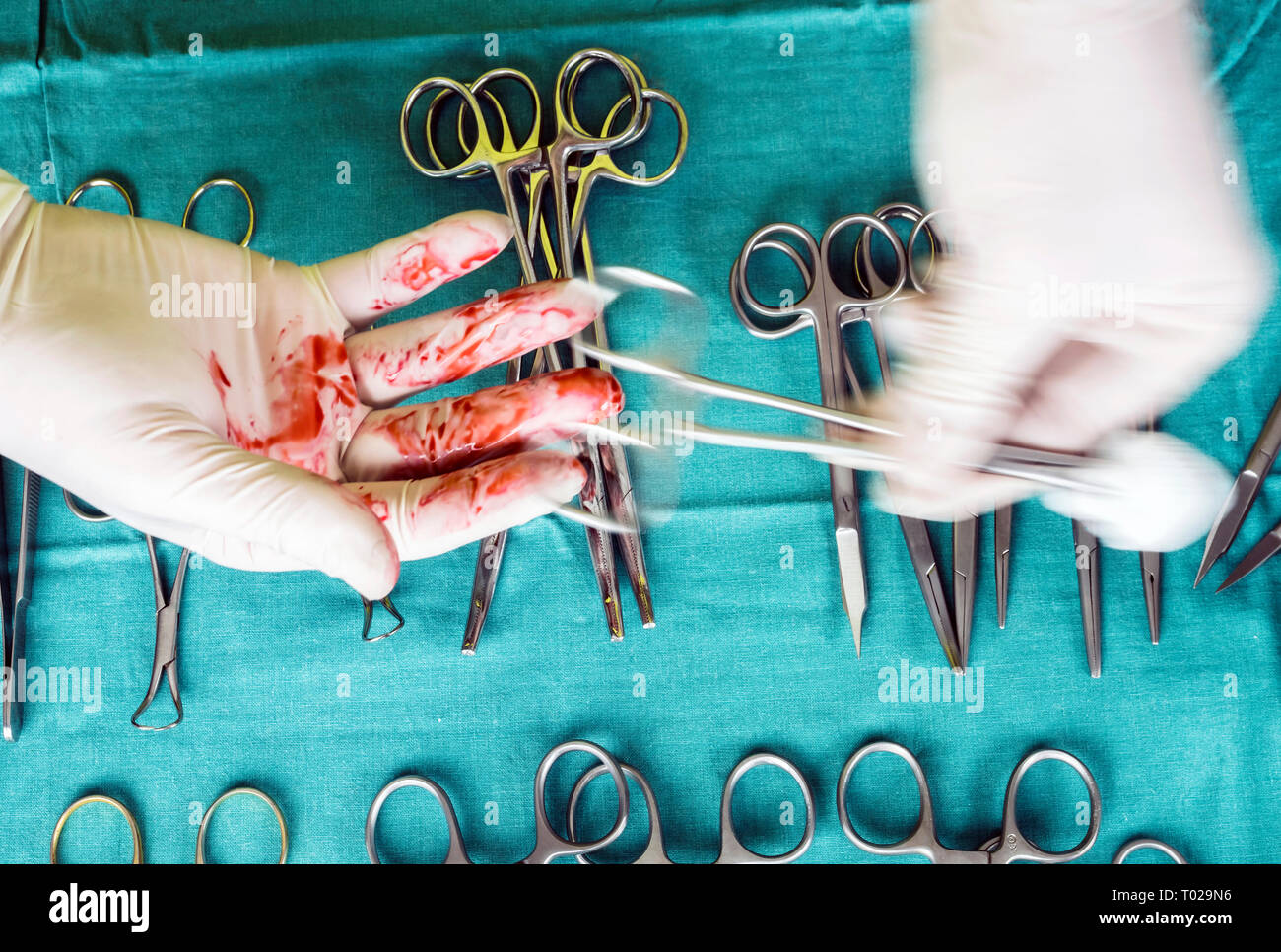 Chirurg im Operationssaal arbeiten, die Hände mit Handschuhen holding Schere Nähte, konzeptionelle Bild, composicon horizontal Stockfoto