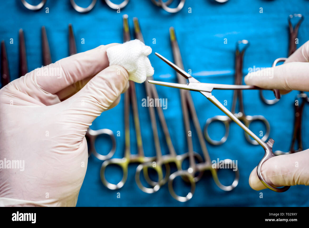 Chirurg im Operationssaal arbeiten, die Hände mit Handschuhen holding Schere mit torunda, konzeptionelle Bild, horizontale Zusammensetzung Stockfoto