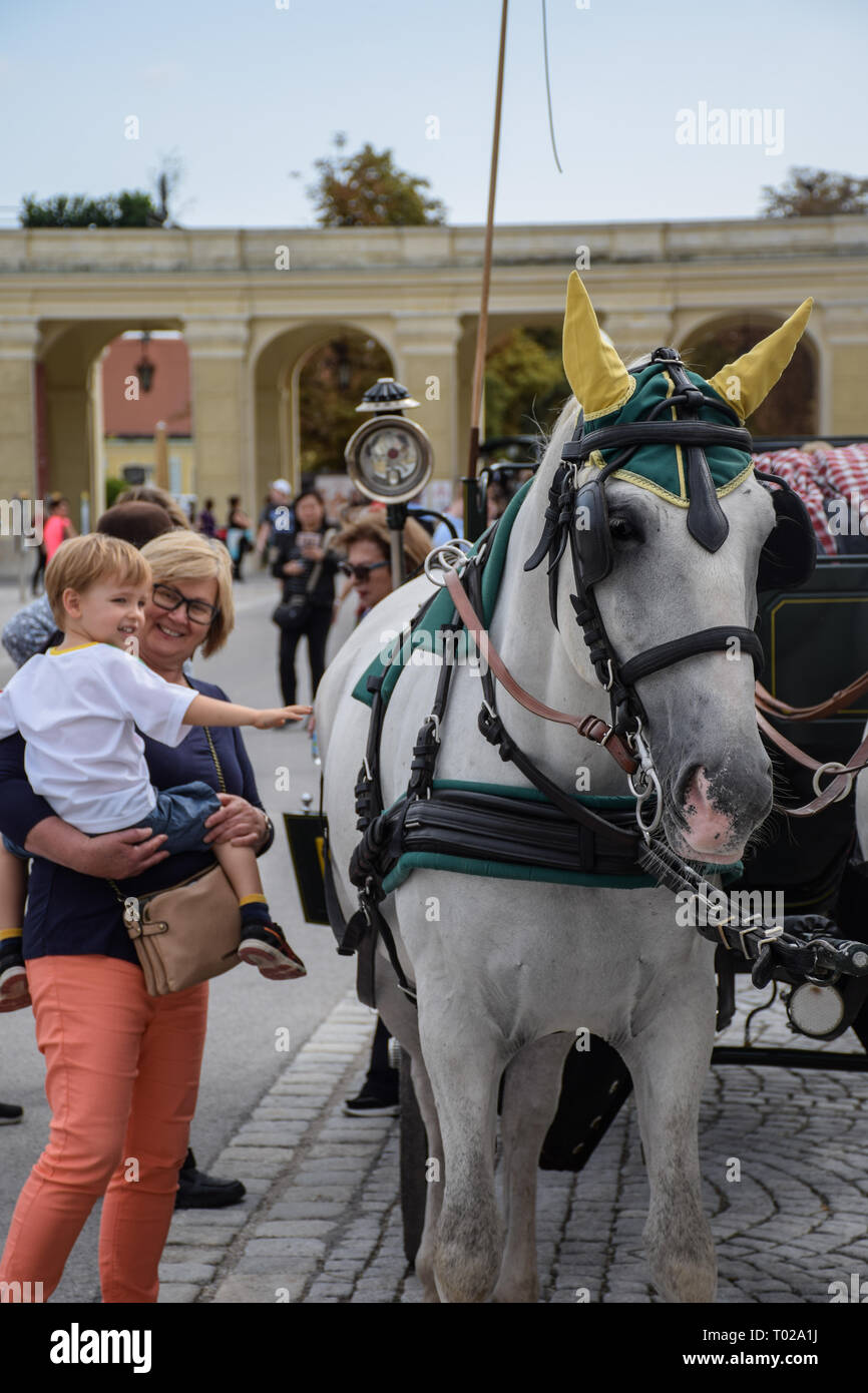 Wien, Österreich, September, 15, 2019 - touristische Bilder aufnehmen und streichelte Beförderung von Pferden aus im Schloss Schönbrunn Stockfoto