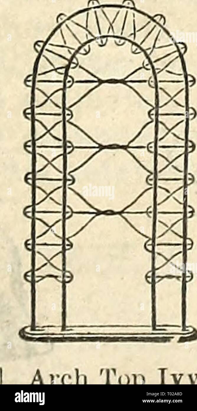 Dreer's Garten Kalender: 1874. dreersgardencale 1874 henr Jahr: 1874 Art.Nr. ('Ich. Pro doz. 30 X 10 in. 30 cts. $ 2 50 30 X 14'40' 4 00 42 X 14 60 5 50 20. Ivy. ^ " ^^Pro doz. Ivy 20 in. Durchmesser 85 cts. 9 $ 00 X Nn. 5. I2ft. Vernnda. 5 ft.XlS in. 8^ breit. Eftch SOcts. l 24 in. liisrl). Pro doz 8,00 $ pro '60 ets iPer doz ... Si.OOl'Vf^" Stockfoto