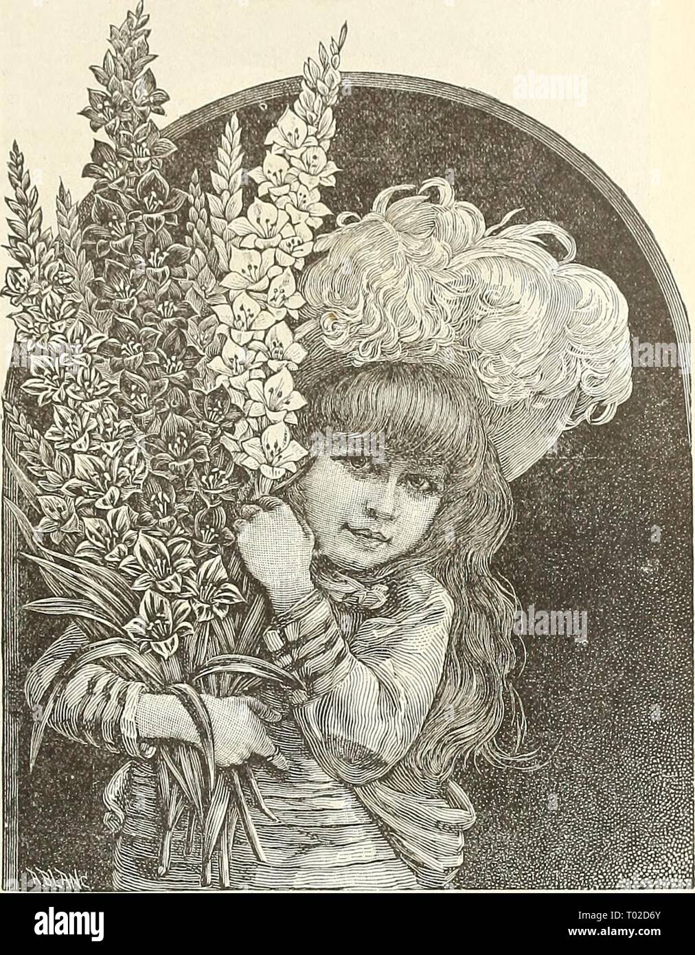 Dreer's Garten Kalender. dreersgardencale 1890 henr Jahr: 1890 für Garten und Gewächshaus. 109 1.6 re Licht rot, große weiße Intensive feurig rot; ein reichhaltiges C Mi 0. K}^ - fortgesetzt. Conquete. Cherry Red, Pure White hlotch, U]) I&gt; Ei' Blütenblätter gestreift Rose. Eugene Scribe. Blume sehr groß und perfekt; Soft rose flammten witli Karminrot. Hesperiden. Ausgiebig gestromt und als Flocken, hell rosa Lachs auf ein reines Weiß. Ida AVliite Boden, getönte Rose, geflammt Carmine, unteren Blütenblätter gelb. Isaac Buchanan. Reines Gelb; ein Beau-tiful Blume. La Candeur. Reines Weiß, schwach gestreifte Carmine. Poussi Stockfoto