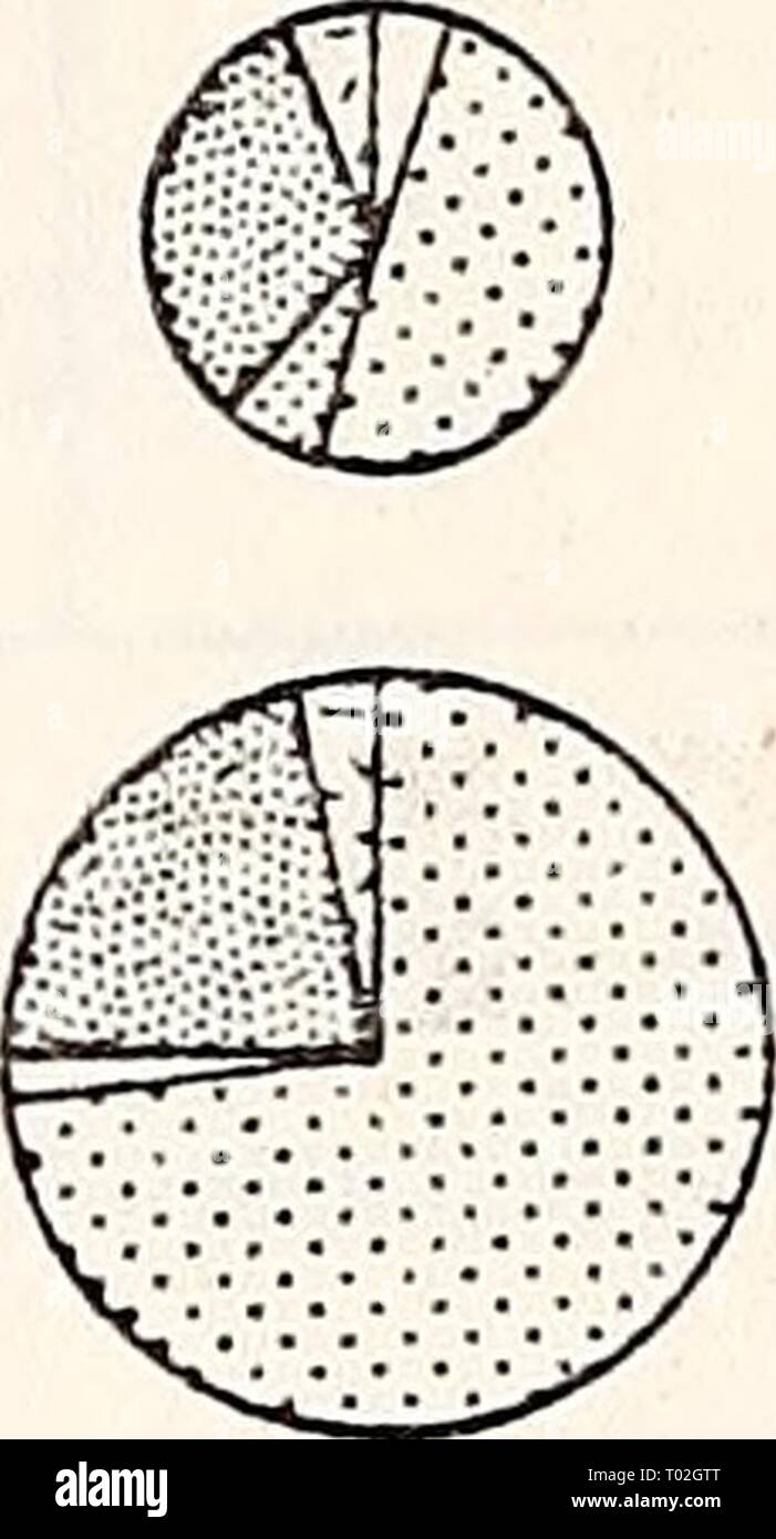 Ökologische Studie der Amoco Cadiz Ölpest: Bericht des NOAA-CNEXO Gemeinsame wissenschaftliche Kommission. ecologicalstudy 00 noaa Jahr: 1982 - 3 ii. Stockfoto