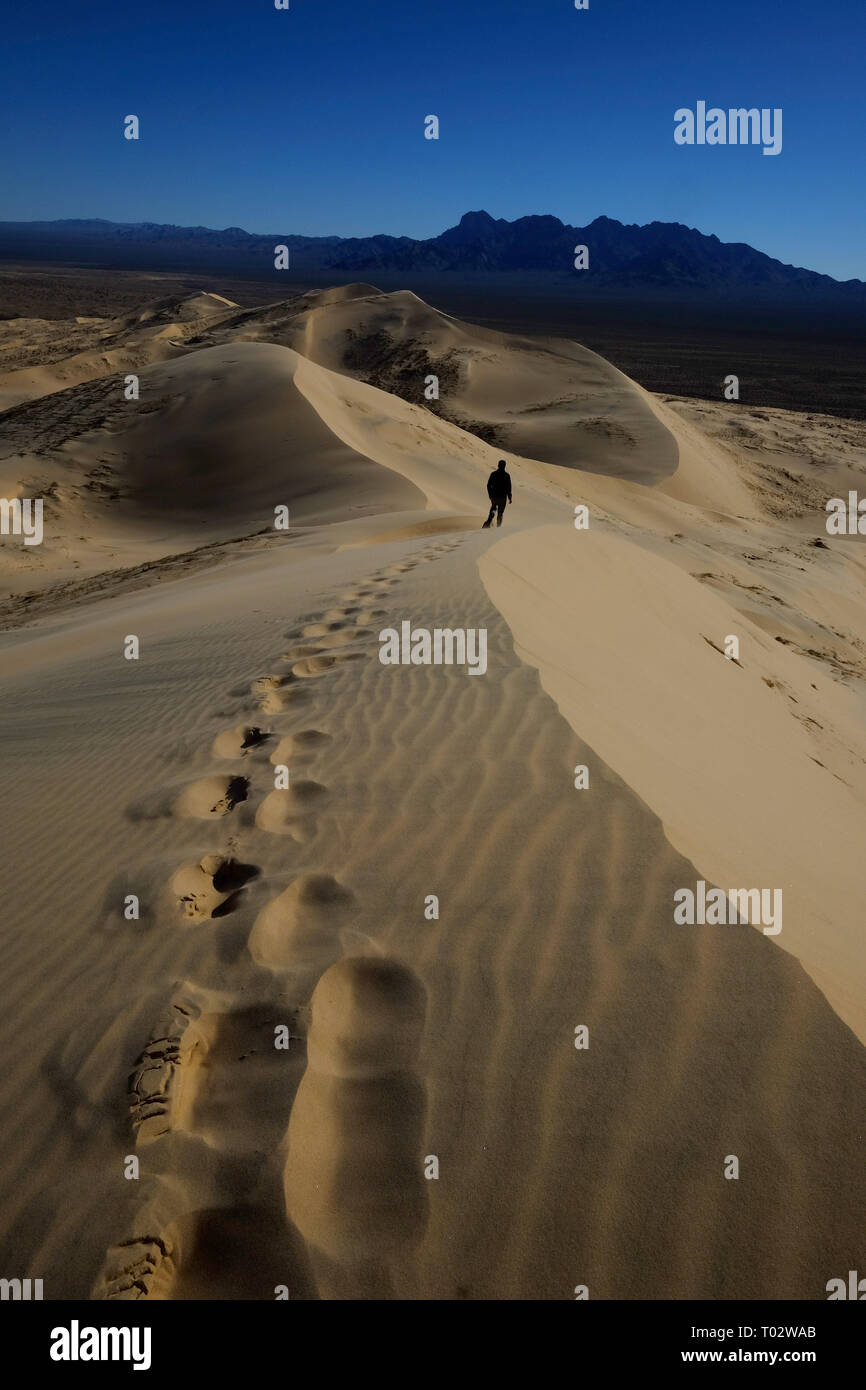 Mojave National Preserve, Kalifornien, USA. 16 Mär, 2019. Ein Wanderer geht auf die Dünen. Kelso Sanddünen, auch bekannt als die Kelso Dünenfeld, ist der größte Bereich der Äolischen Sandablagerungen in der Mojave Wüste. Die Region ist durch die Mojave National Preserve geschützt und befindet sich in der Nähe von Bäcker, San Bernardino County, Kalifornien. Die Kelso Dunes umfassen 45 km2 und 650 Fuß über dem Wüstenboden erheben, und beinhaltet Wanderdünen, Vegetation-stabilisierten Dünen, Sand und sand Rampen. Credit: Rocky Stewart/ZUMA Draht/Alamy leben Nachrichten Stockfoto