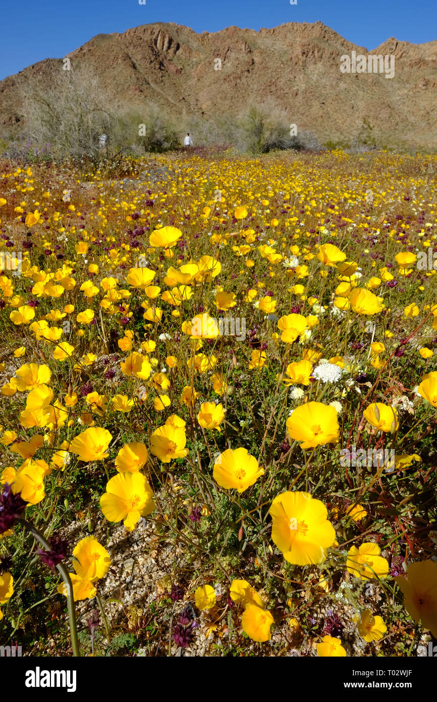 Kalifornien, USA. 16 Mär, 2019. Die Besucher gehen bei der Masse von