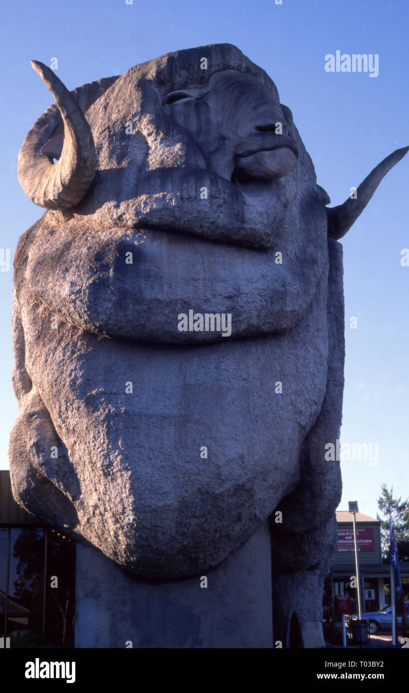 Die großen Merino (Schaf) Lokal als Rambo bekannt war 1985, Goulburn, New South Wales errichtet Stockfoto