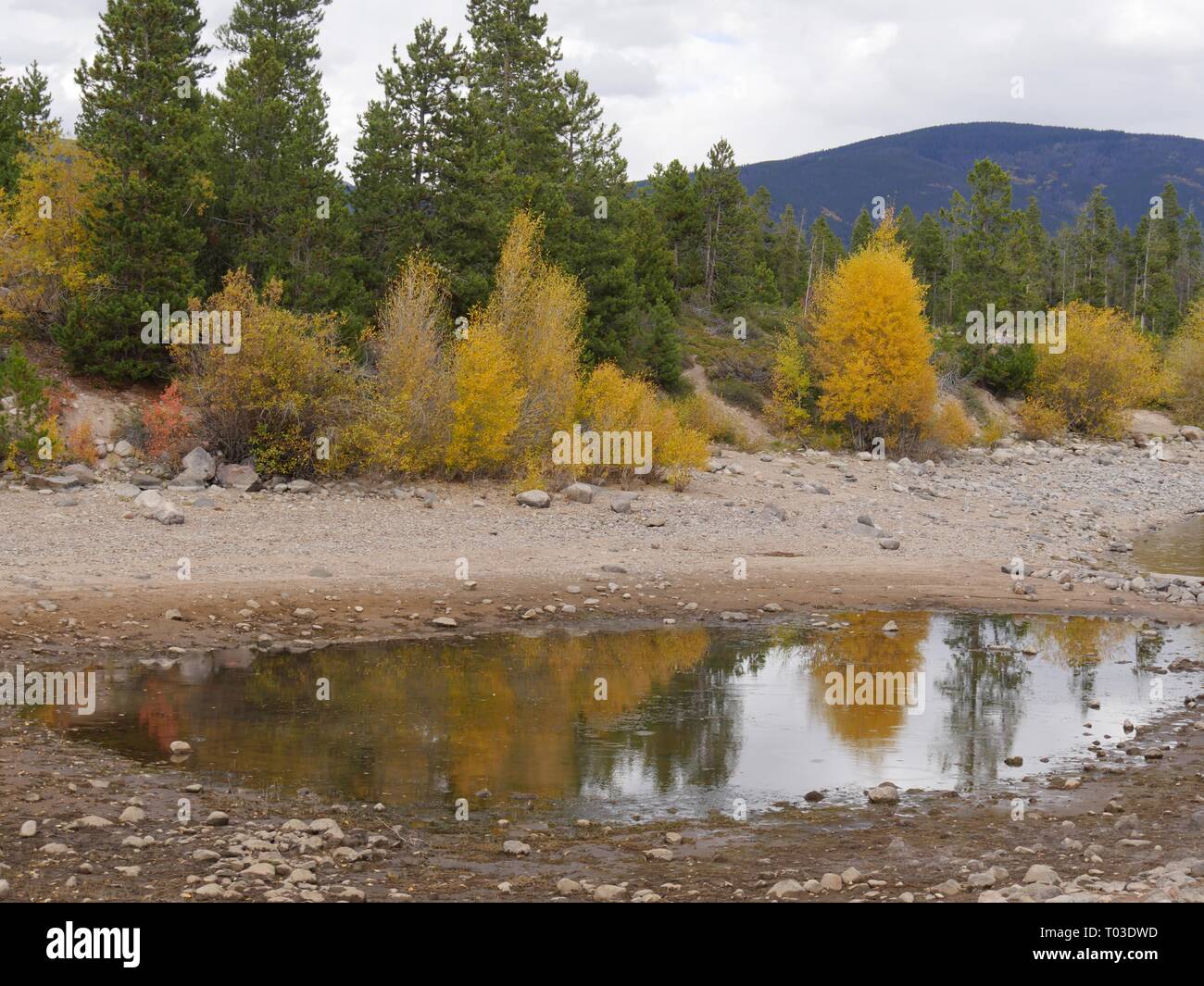 Bunte Bäume mit Reflexionen an einem kleinen Teich von Wasser bei Dillon See im Summit County, Colorado ein schöner Tag im Herbst dupliziert. Stockfoto