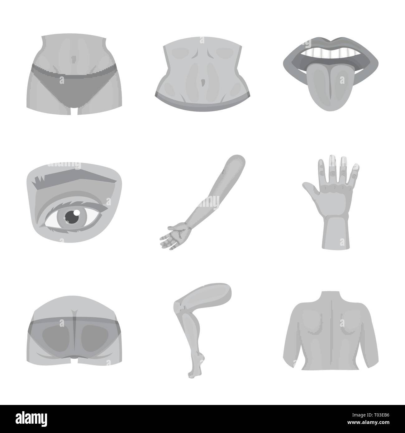 Vector Illustration von Körper und Symbol. Sammlung von Körper und ...