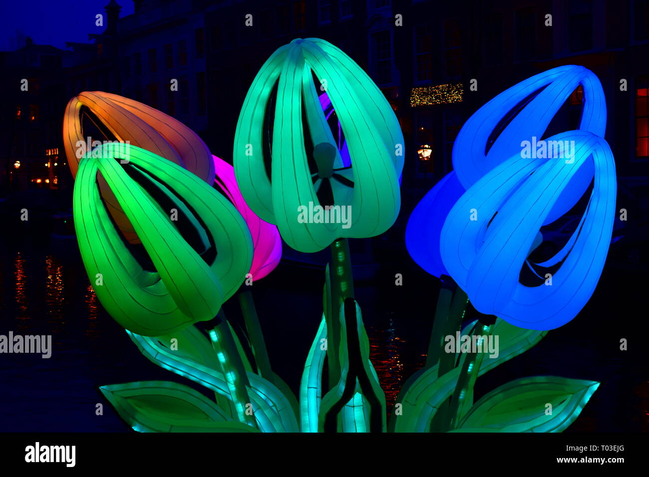 Amsterdam Licht festival Tulpen 2017 Stockfoto