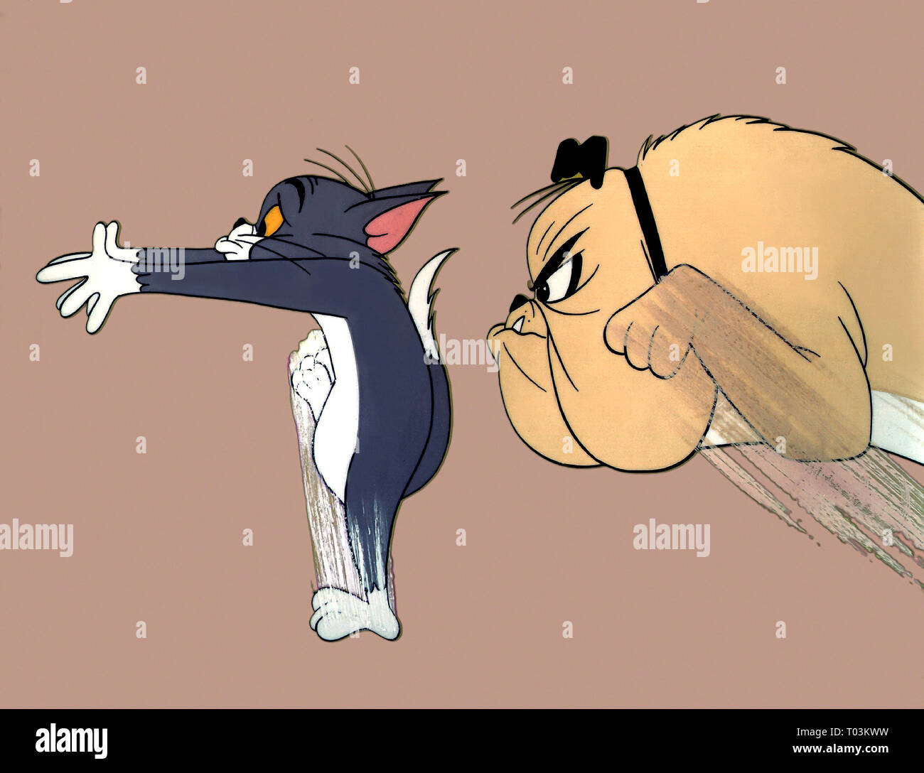 Tom und jerry spike Fotos und Bildmaterial in hoher Auflösung Alamy