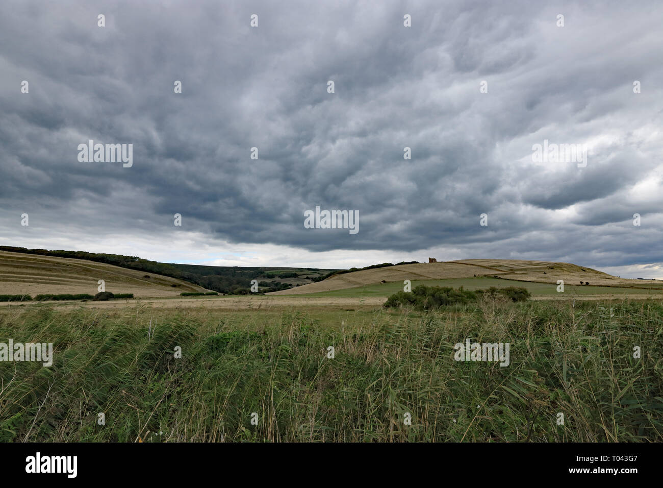 Stürmischen Himmel über der Landschaft in der Nähe von Abbotsbury Dorset England UK Stockfoto