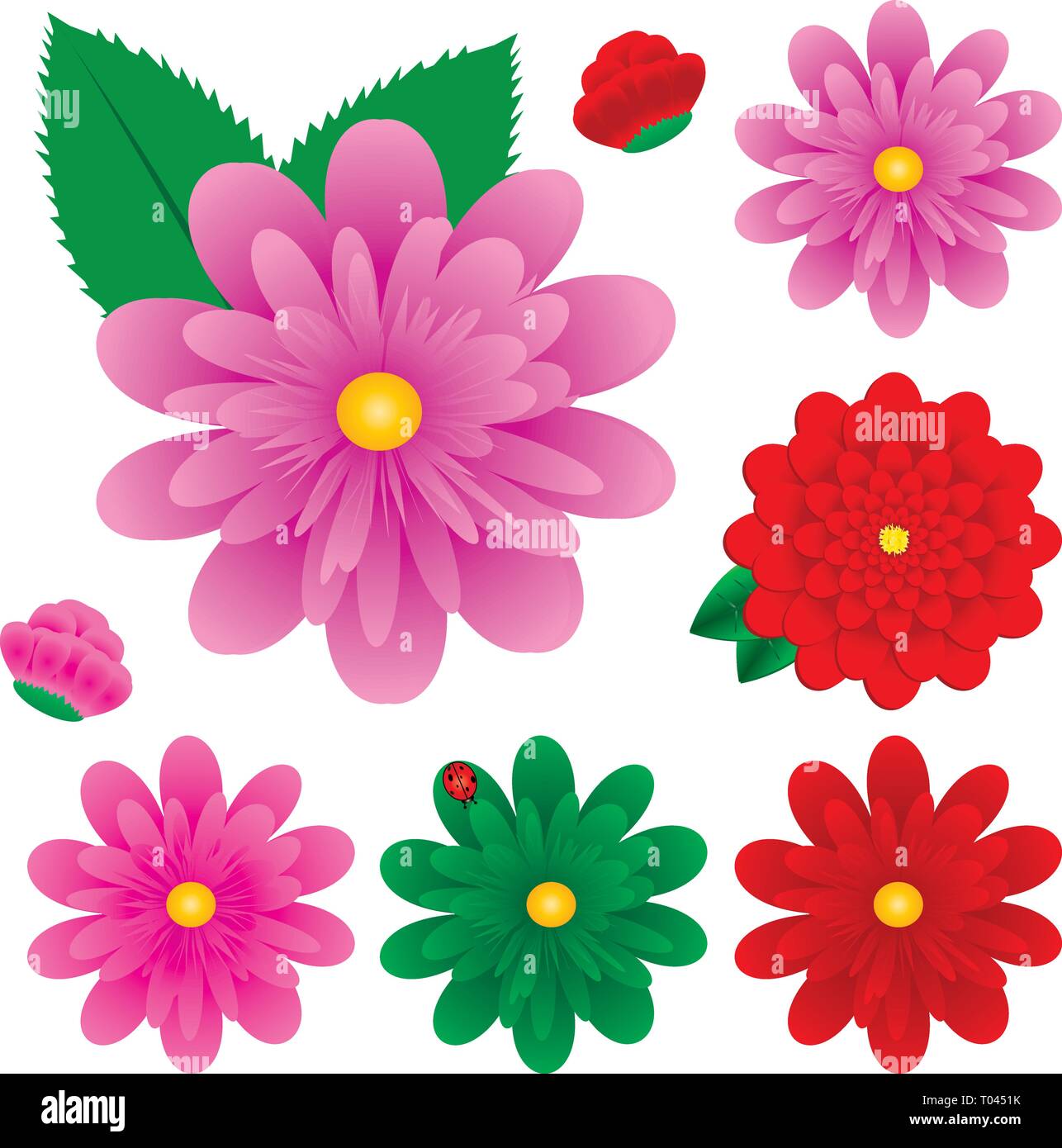 Großen bunten Gerbera Blumen, Vector Illustration, Gerbers Stock Vektor