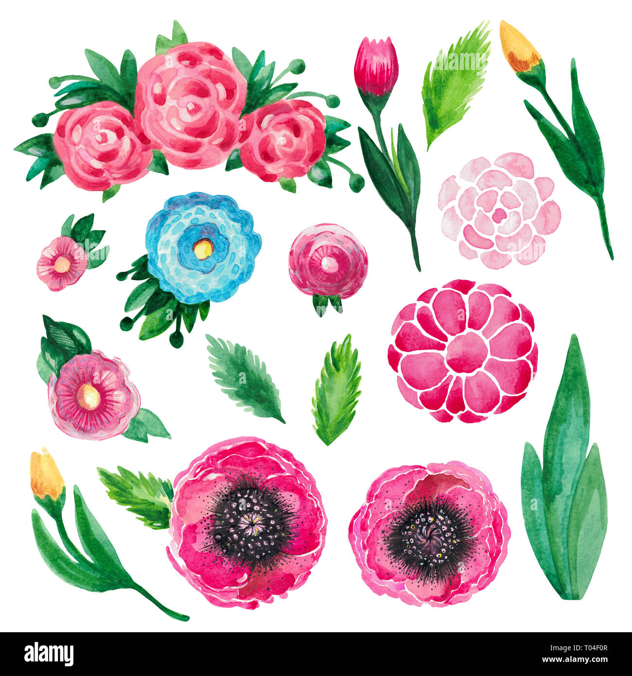 Botanische Blumen Aquarell Abbildung von roten Blumen und grüne Blätter auf weißem Hintergrund. Stockfoto