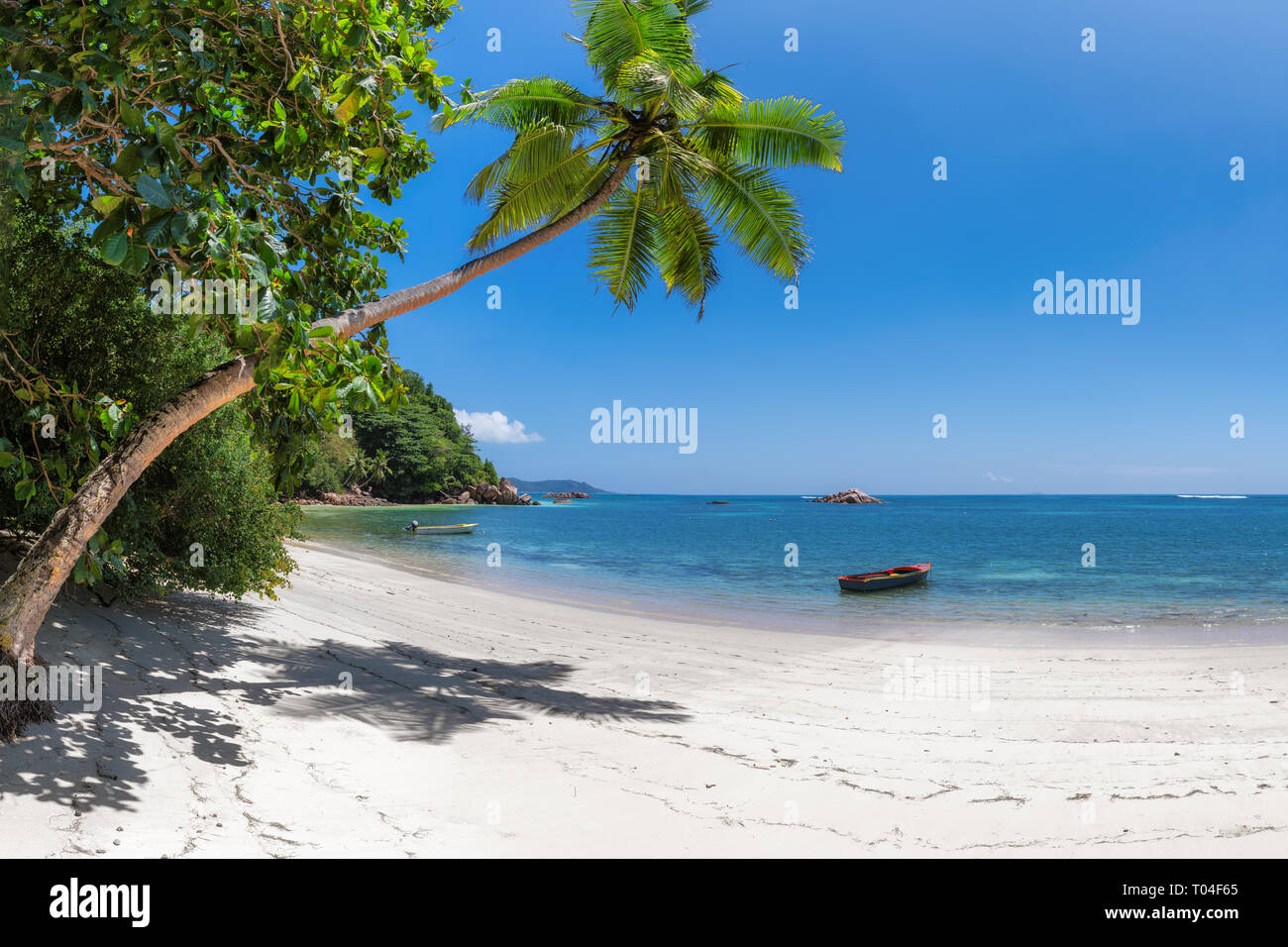 Panoramablick von exotischen tropischen Strand Stockfoto