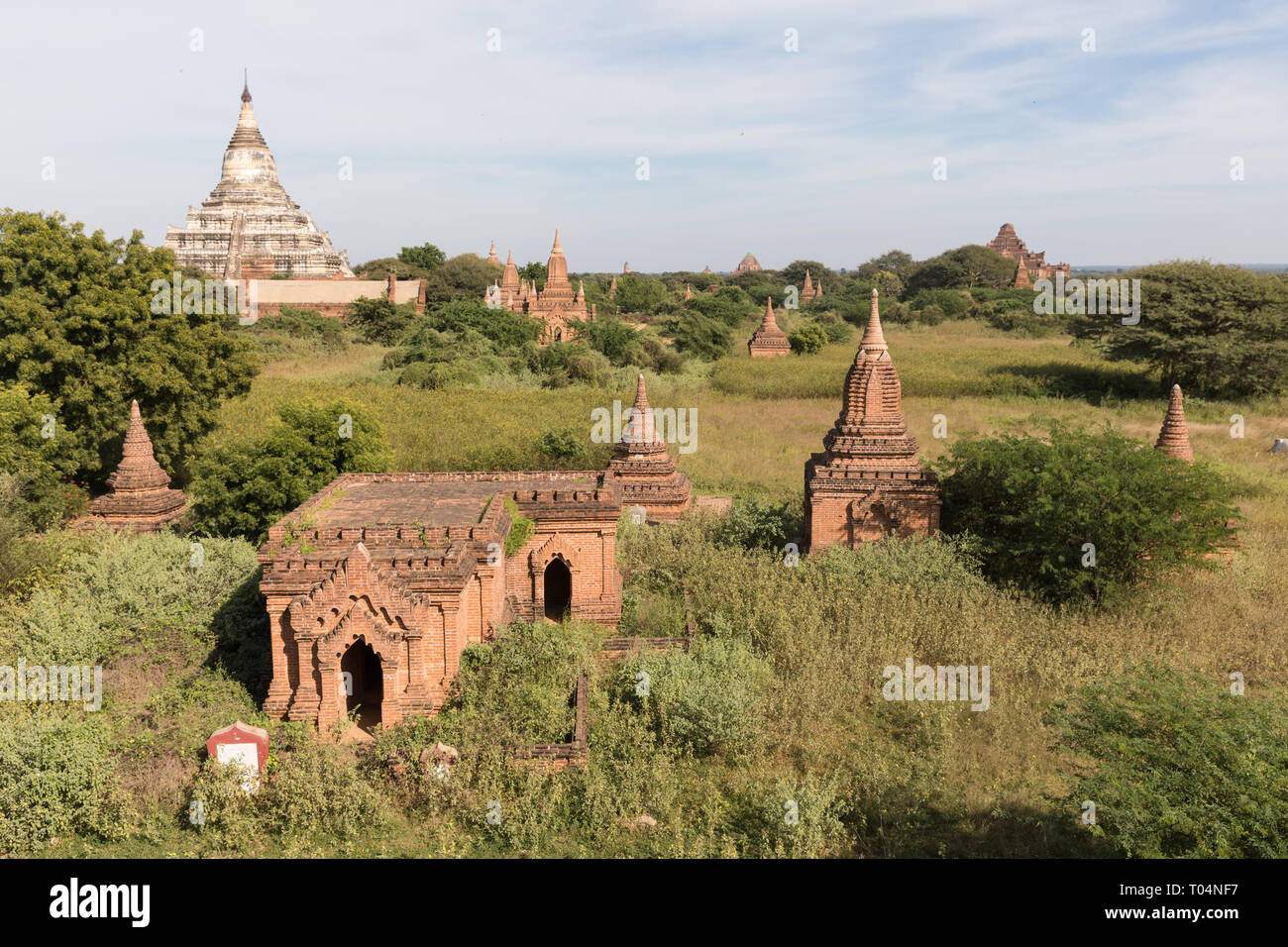 Menschen, die auf dem Feld an der Vorderseite der Tempel und Pagoden von der archäologischen Zone in Bagan am frühen Morgen die Sonne. Myanmar (Birma). Stockfoto