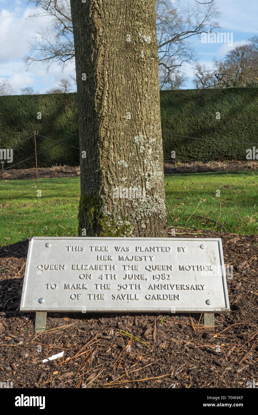 Plakette neben einen Baum gepflanzt, die von Ihrer Majestät der Königin Mutter in Savill Garden, Windsor Great Park, Großbritannien Stockfoto