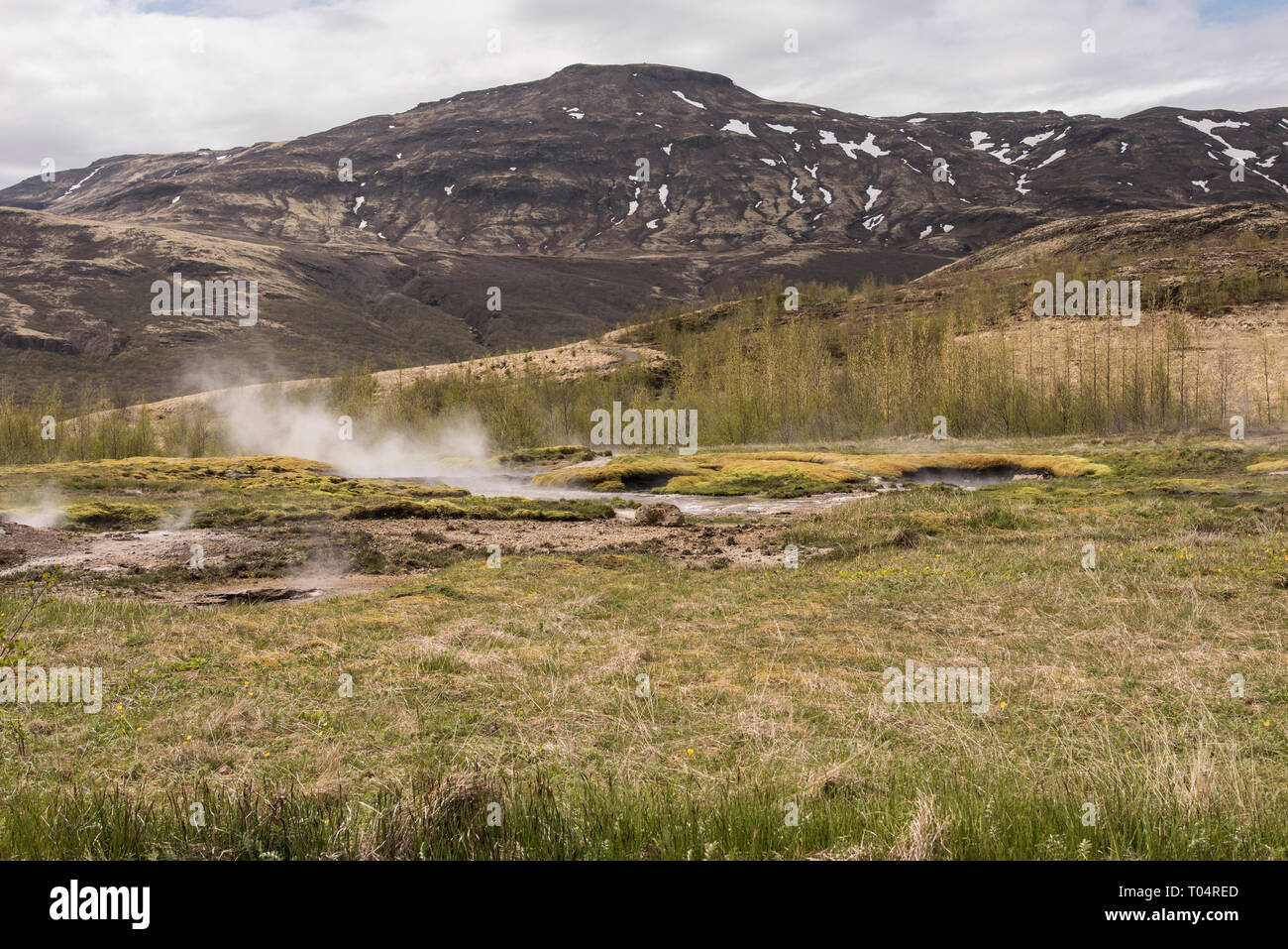 Haukadalslaug Hot Pot im Haukadalur geothermale Region, Island. Stockfoto