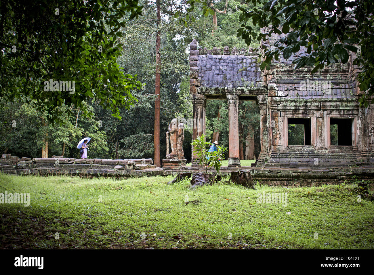 Angkor Wat, Kambodscha. Weibliche Touristen mit Regenschirm Annäherung an einen Tempel in den Wäldern am frühen Morgen Licht an einem regnerischen Tag ruinieren. Stockfoto