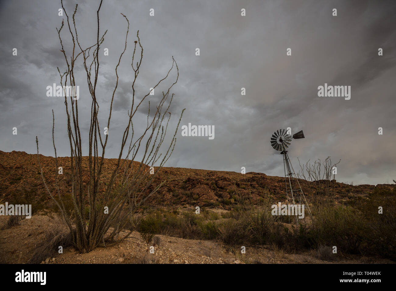 Studie Butte, Brewster County, Texas, USA Stockfoto