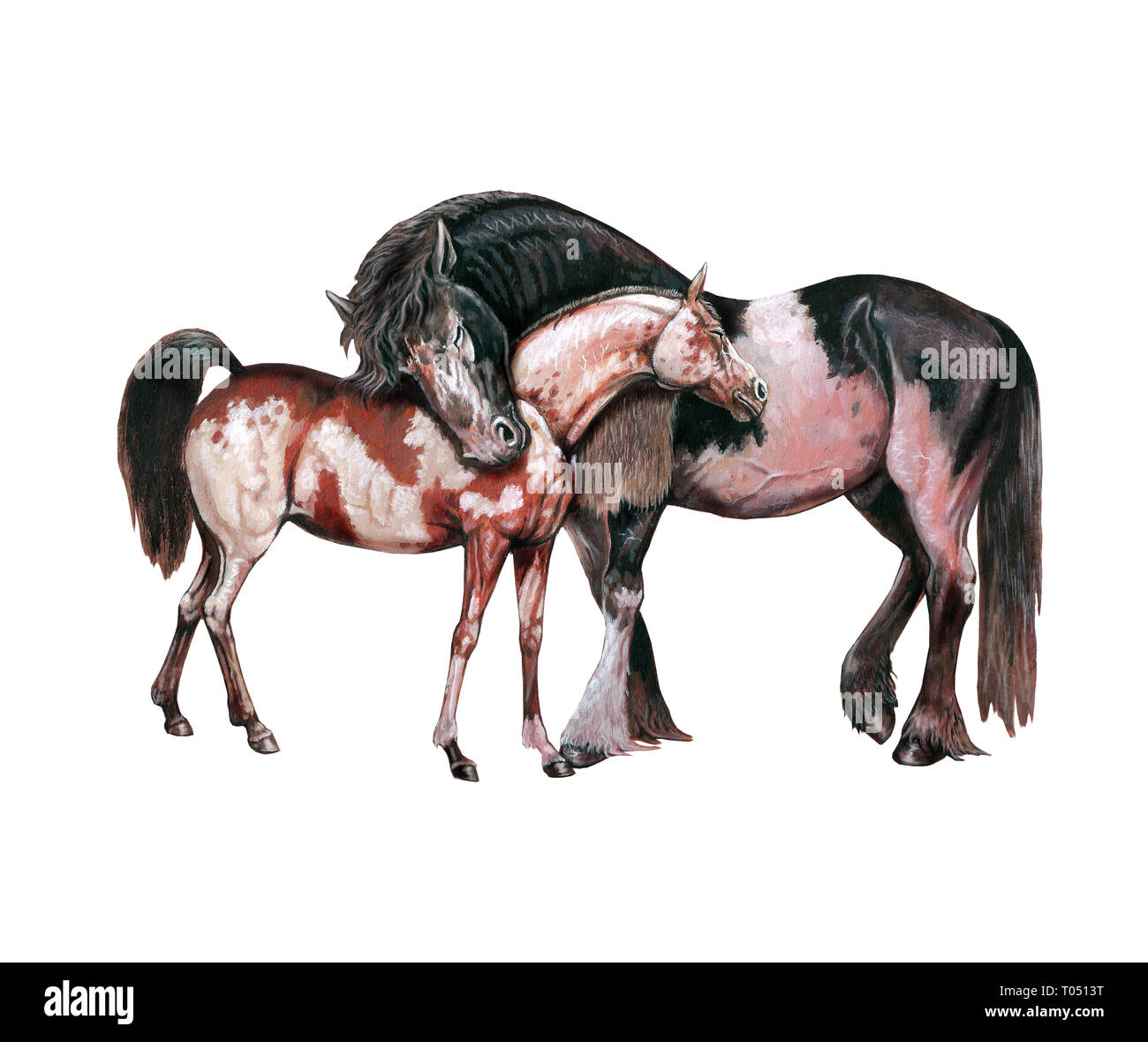 Pferde in der Liebe. Pferd Abbildung. Acryl Malerei. Stockfoto