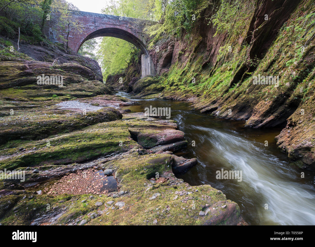 North Esk River fließt unter einer alten Brücke im Herbst in der Nähe von Edzell, Angus, Schottland Stockfoto