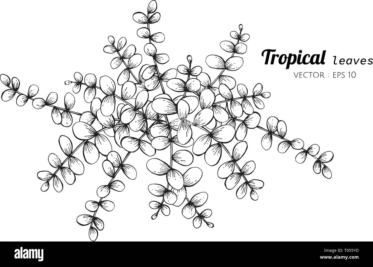 Tropische Blätter zeichnen Abbildung. für Muster, Logo, Template, Banner, Poster, Einladung und Grußkarte Design. Stock Vektor