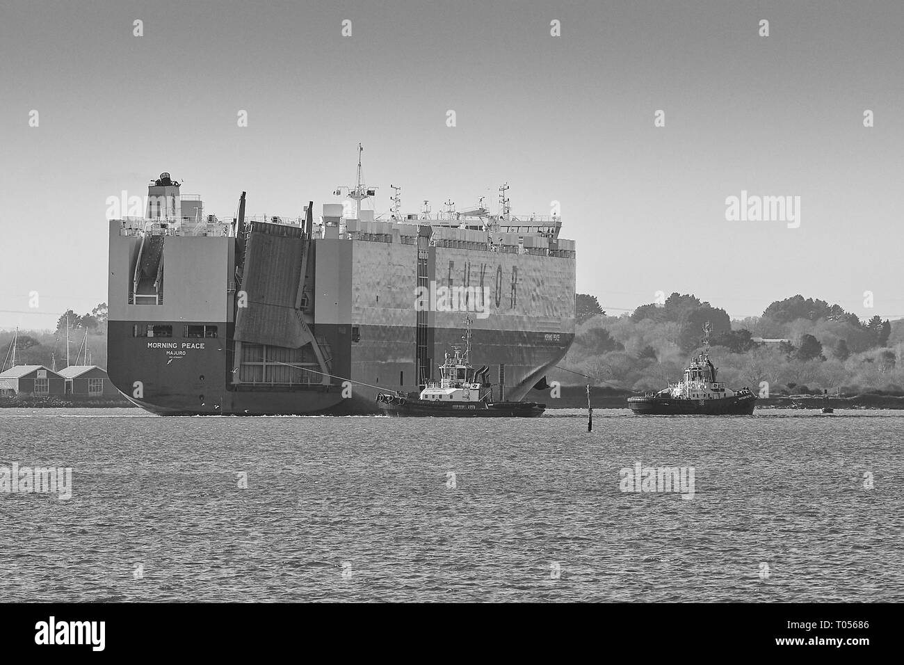 Schwarz-weiß-Foto des EUKOR Carrier Ship, MORNING PEACE, fährt in den Hafen von Southampton, Großbritannien. Stockfoto