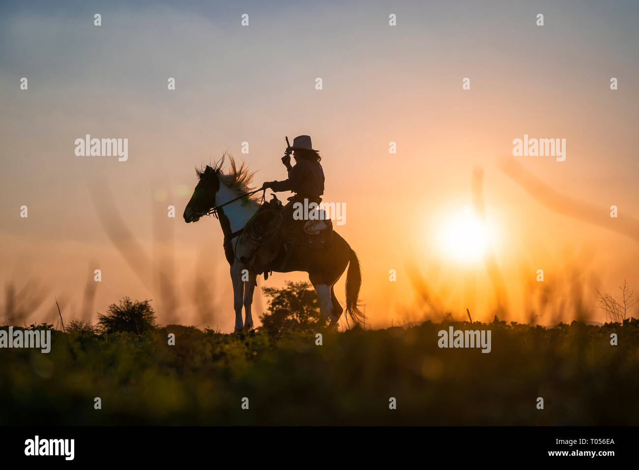 Silhouette cowboy Brand eine Pistole auf einem Pferd im Sonnenuntergang Stockfoto