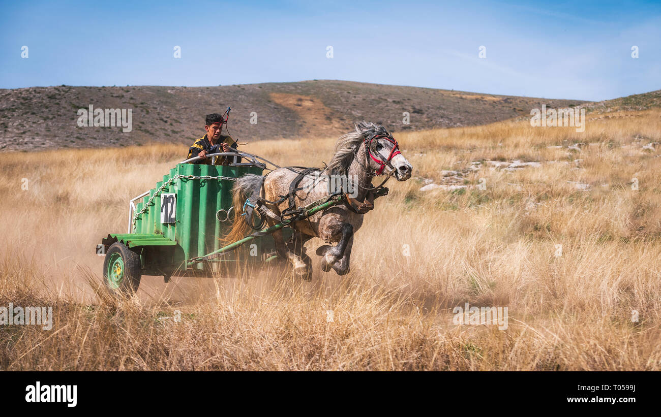 Novo Selo/Bulgarien - 16. März 2019: St. Todor Tag. Rennen mit Pferden und Wagen auf todorov Tag im Dorf Novo Selo, Bulgarien Stockfoto