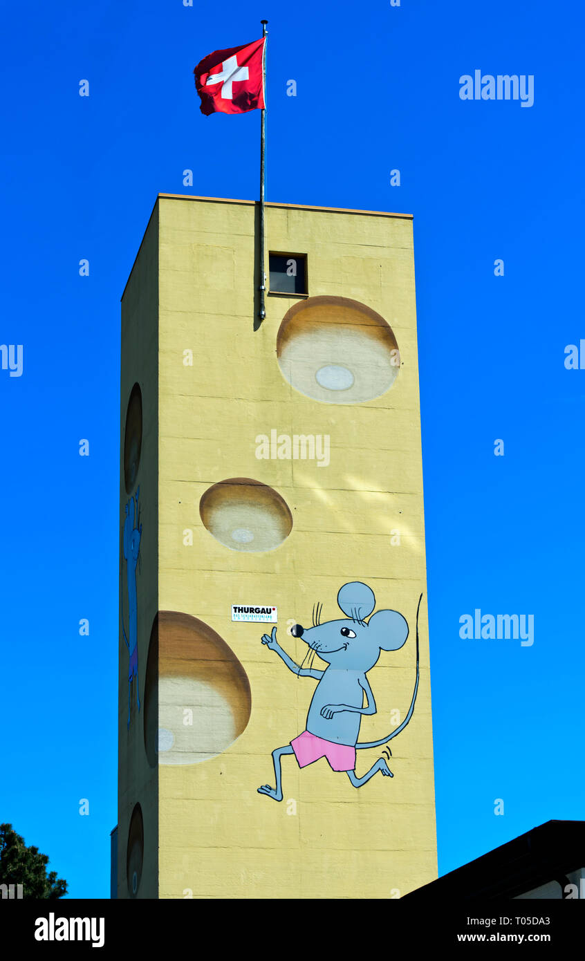 Emmentaler Käse, Käserei Alibona AG, Steinebrunn, Kanton Thurgau, Schweiz Stockfoto