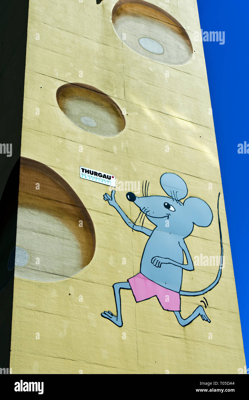 Emmentaler Käse, Käserei Alibona AG, Steinebrunn, Kanton Thurgau, Schweiz Stockfoto