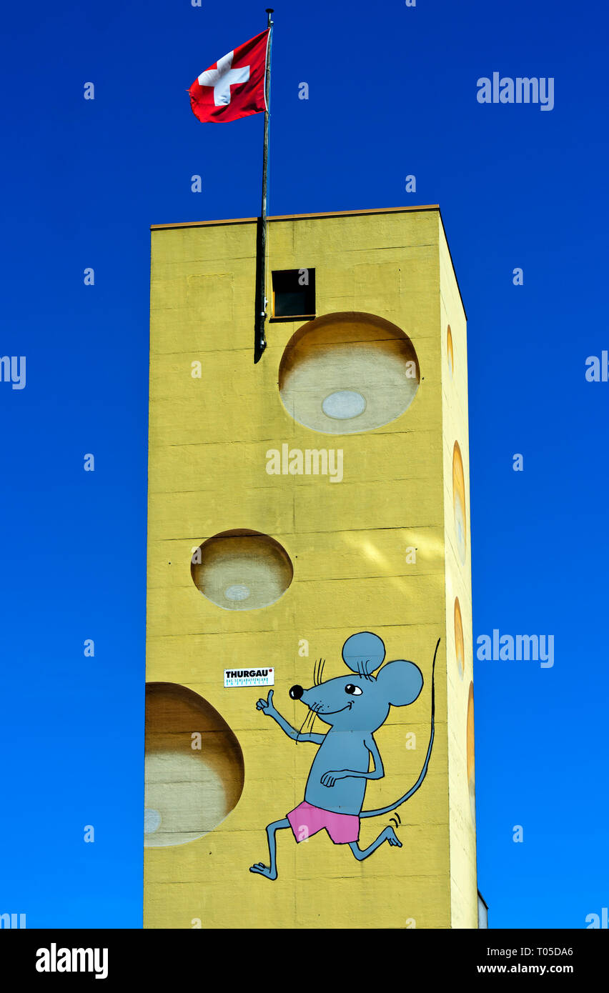 Emmentaler Käse, Käserei Alibona AG, Steinebrunn, Kanton Thurgau, Schweiz Stockfoto