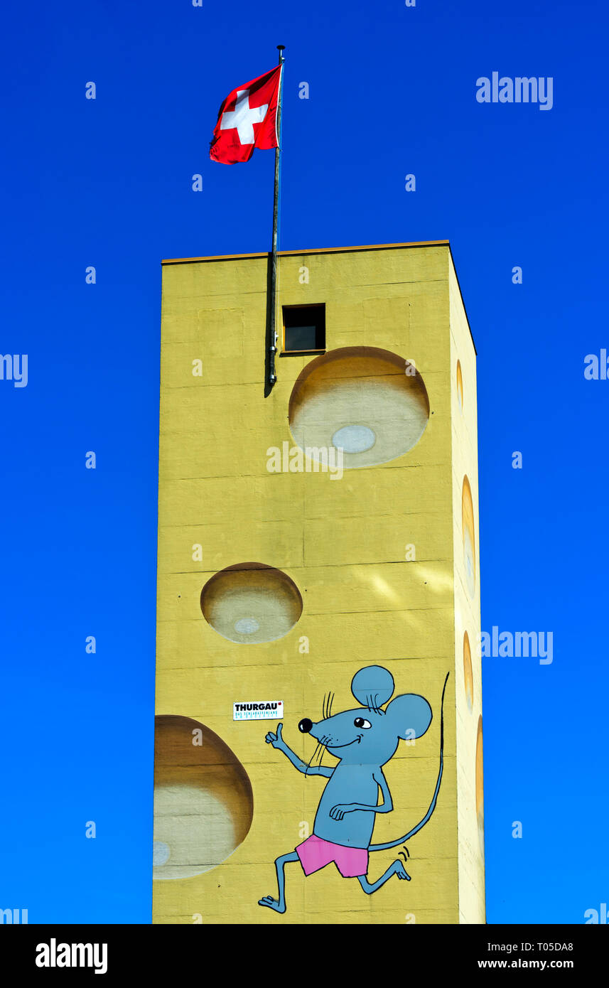 Emmentaler Käse, Käserei Alibona AG, Steinebrunn, Kanton Thurgau, Schweiz Stockfoto