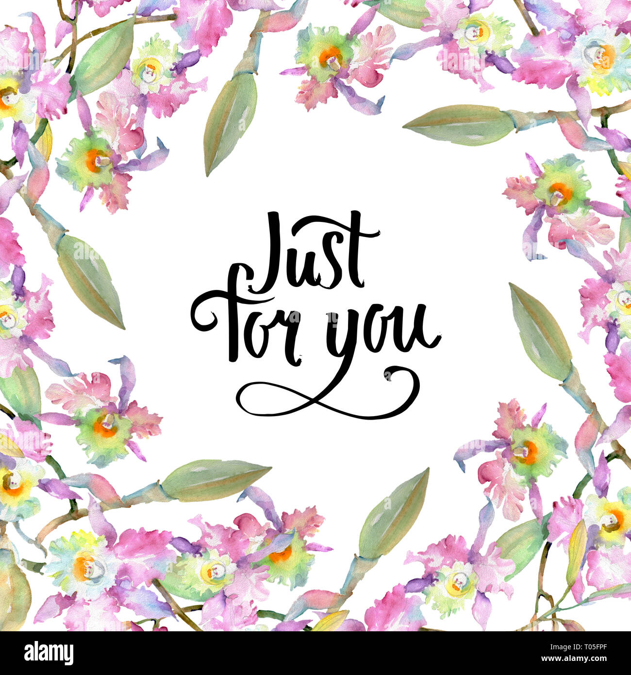 Blumenstrauß aus rosa Orchidee. Florale botanischen Blumen. Aquarell Hintergrund Abbildung. Rahmenlinie ornament Quadrat. Stockfoto