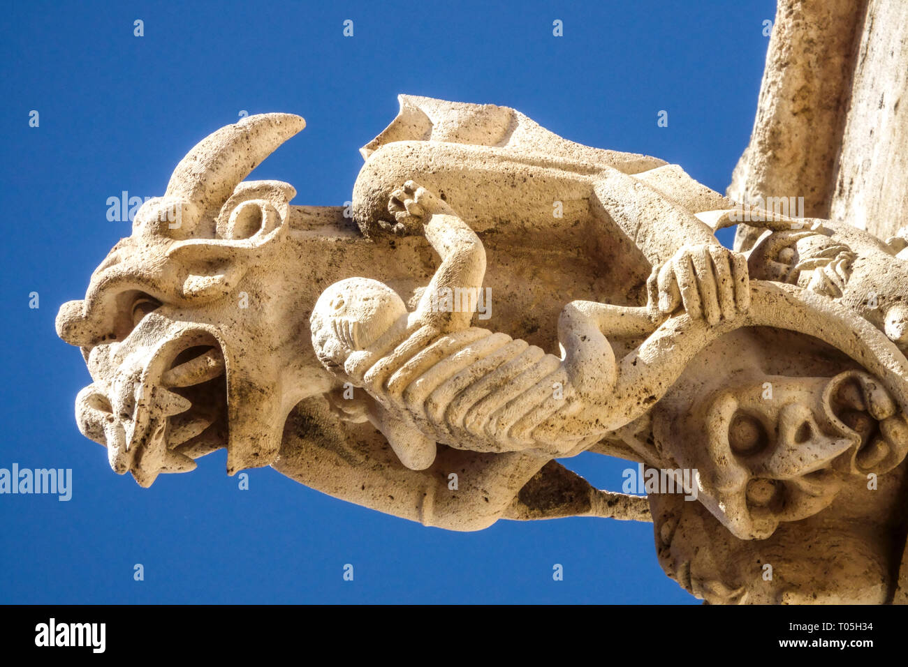 Gotische Wasserspeier von La Lonja de la Seda Valencia Seidenbörse Detail der Kunst Spanien Wasserspeier gotischer mittelalterlicher Wasserspeier Nahaufnahme Stockfoto