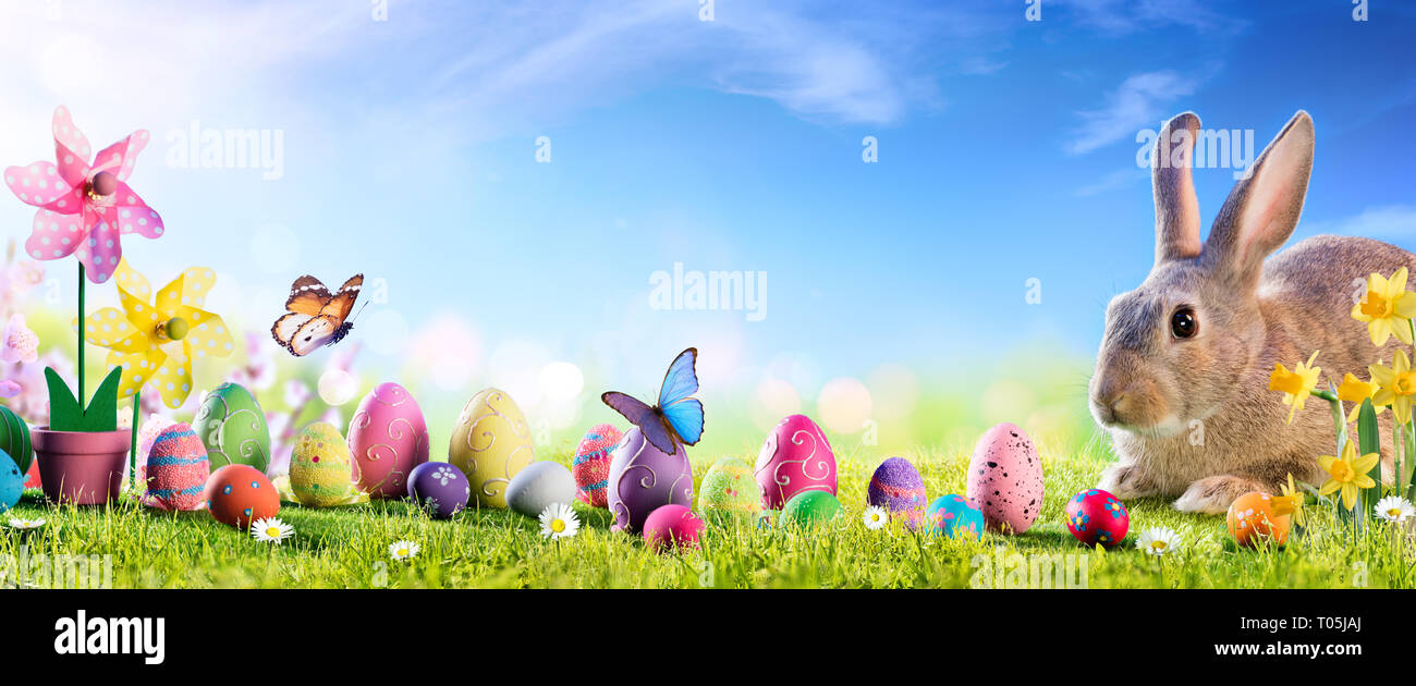 Ostern - Cute Bunny mit Eiern in der Wiese Stockfoto