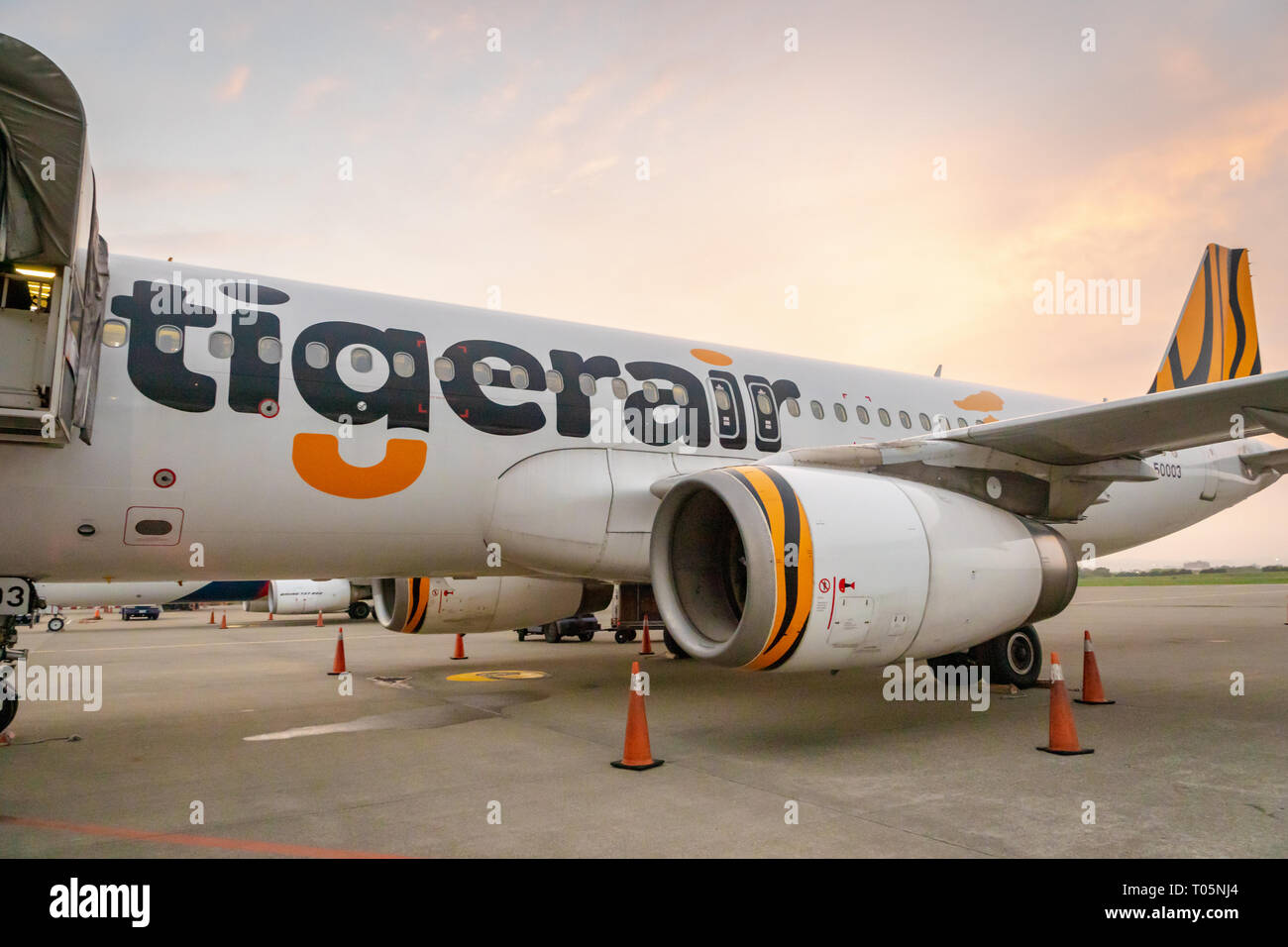 Taipei, Taiwan - Februar 2019: Tigerair Flugzeug landete in internationalen Flughafen Taipei Taoyuan. Tigerair Taiwan ist ein low-cost carrier Stockfoto