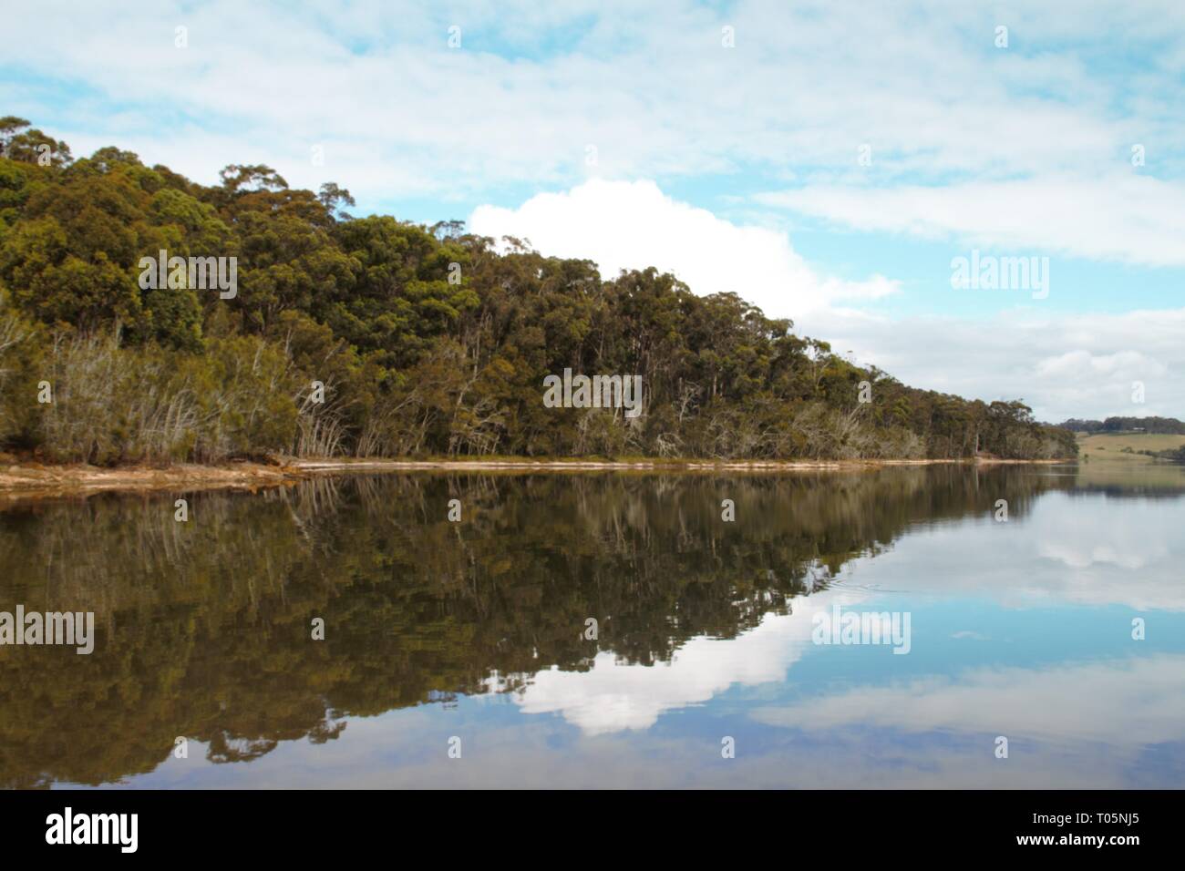 Ruhigen Ufer im Outback von Australien Stockfoto