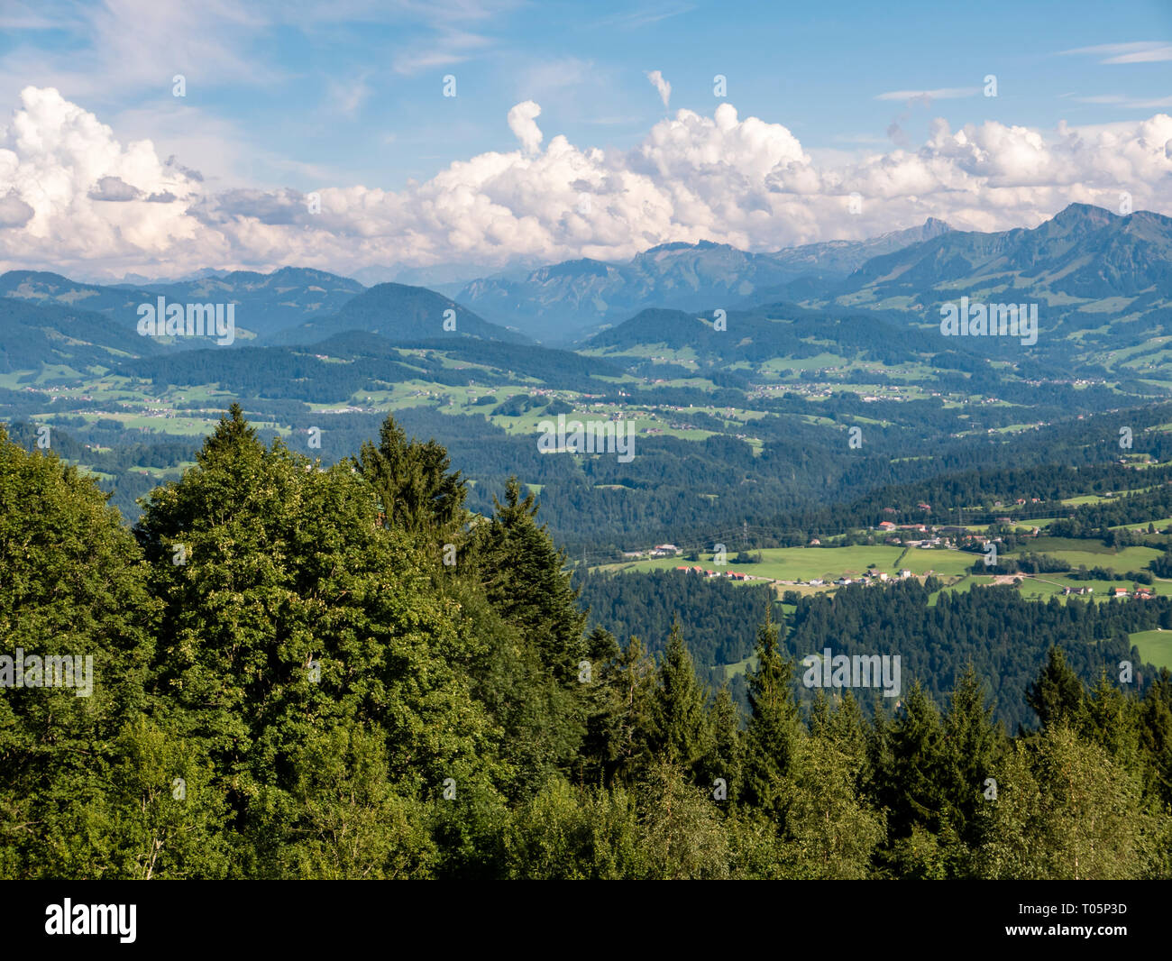 Bregenzer Wald, Österreich Stockfoto