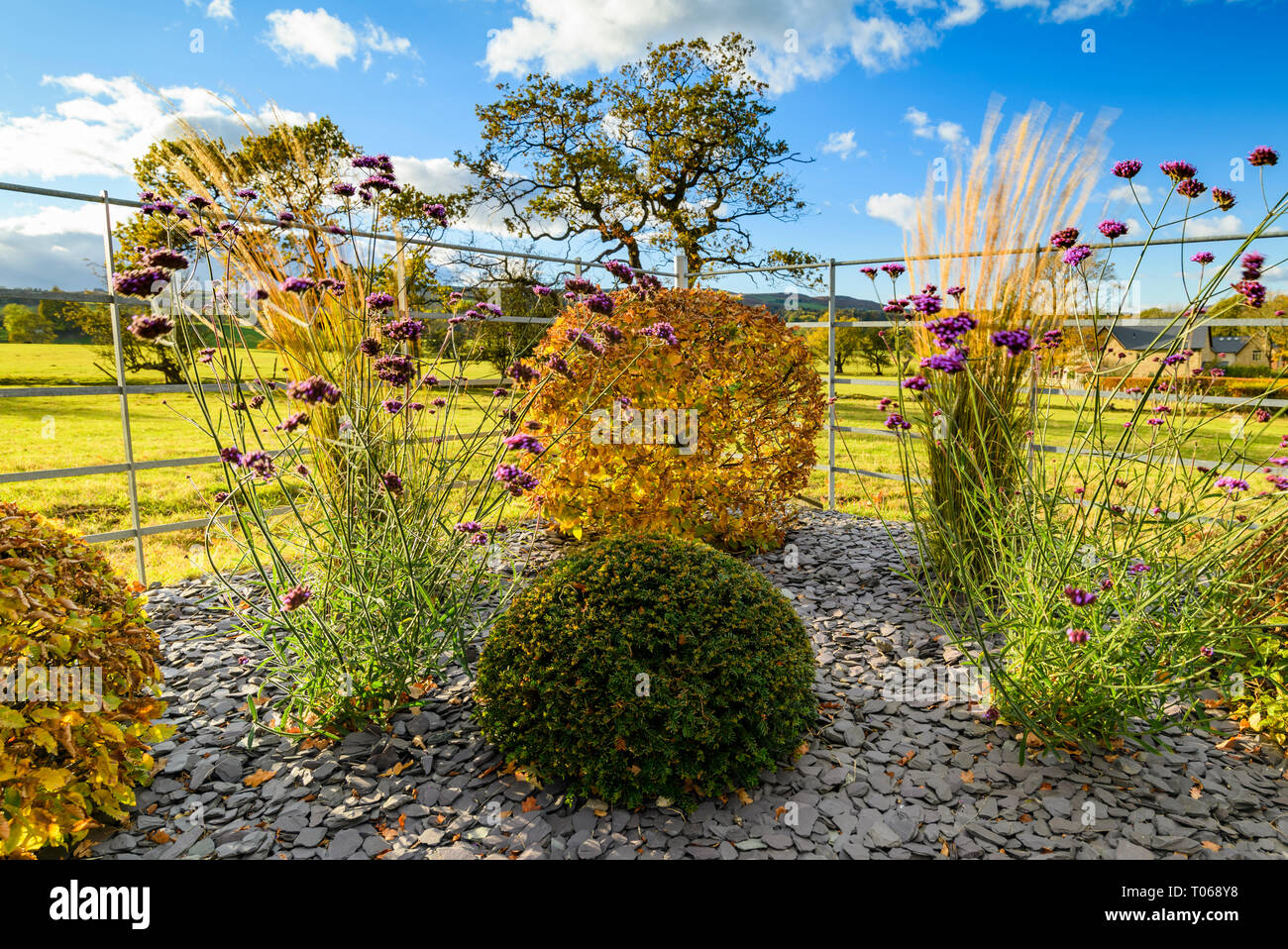 Herbst Farbe in herrlichen privaten Garten - elegantes, modernes Design, Garten- und Landschaftsbau, Pflanzen & Schiefer Chips auf Grenze (ländlichen Yorkshire, England, UK) Stockfoto