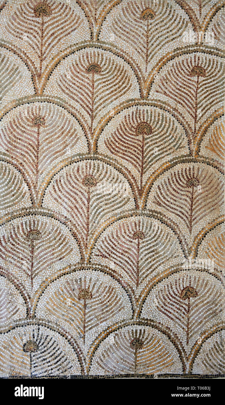 Bilder von einem geometrischen römischen Mosaiken Entwurf mit Pfau Schwanzfedern, von der antiken römischen Stadt Thysdrus. 3. Jahrhundert n. El Djem Archae Stockfoto