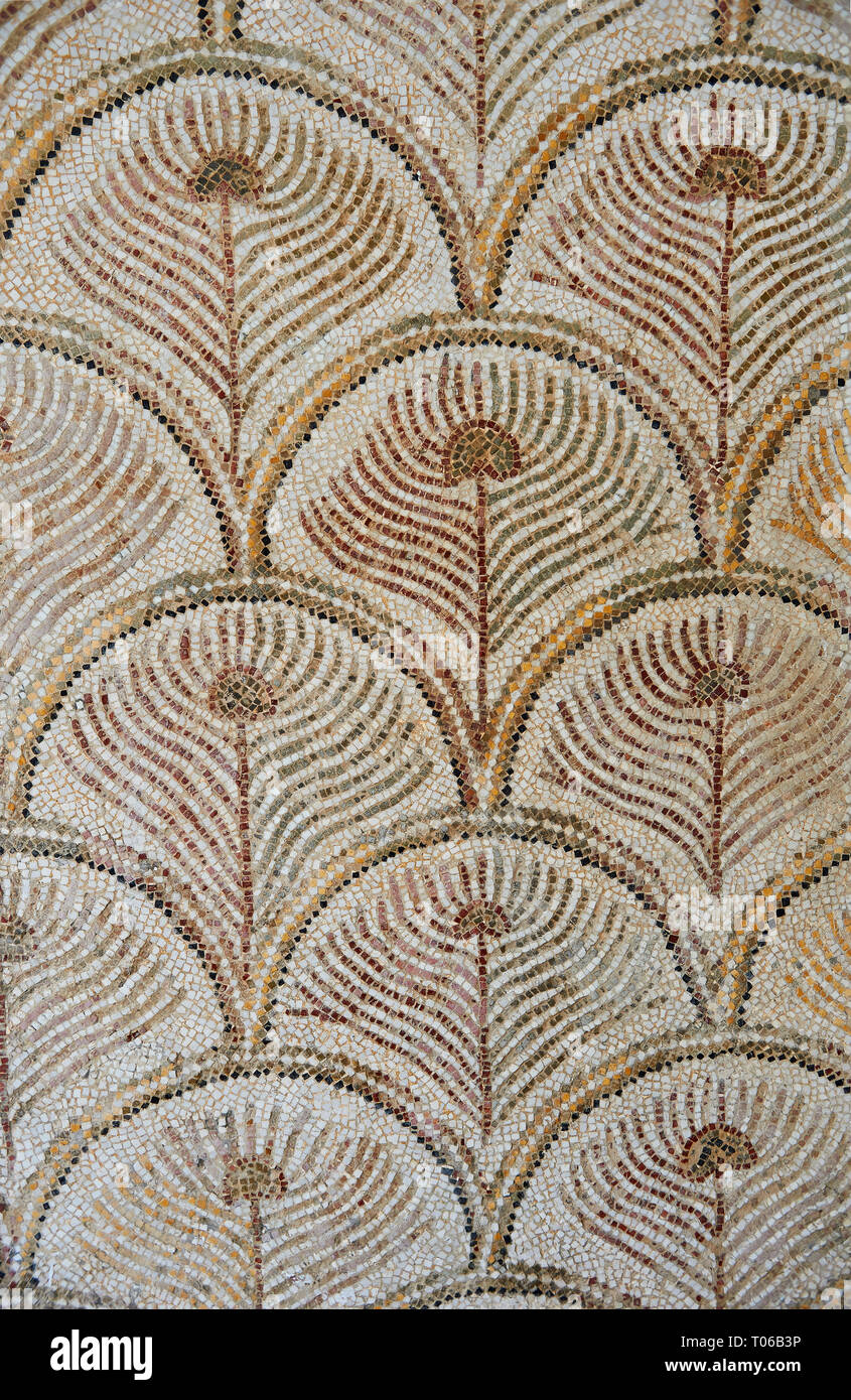 Bilder von einem geometrischen römischen Mosaiken Entwurf mit Pfau Schwanzfedern, von der antiken römischen Stadt Thysdrus. 3. Jahrhundert n. El Djem Archae Stockfoto