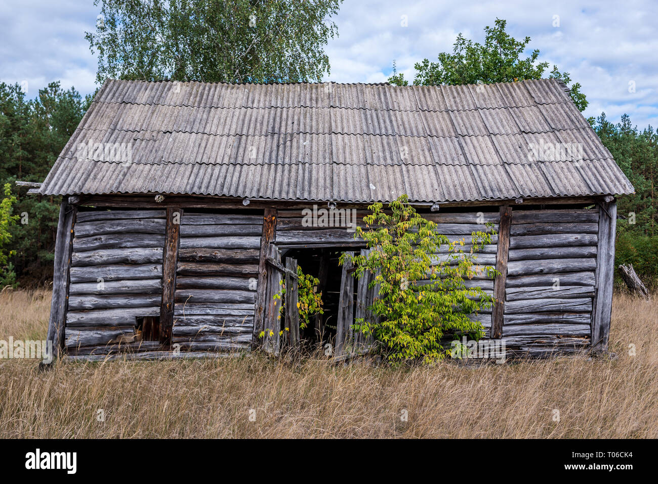 Alte hölzerne Scheune in Mashevo verlassenen Dorf Tschernobyl Nuclear Power Plant Zone der Entfremdung Umgebung Reaktorkatastrophe in der Ukraine Stockfoto