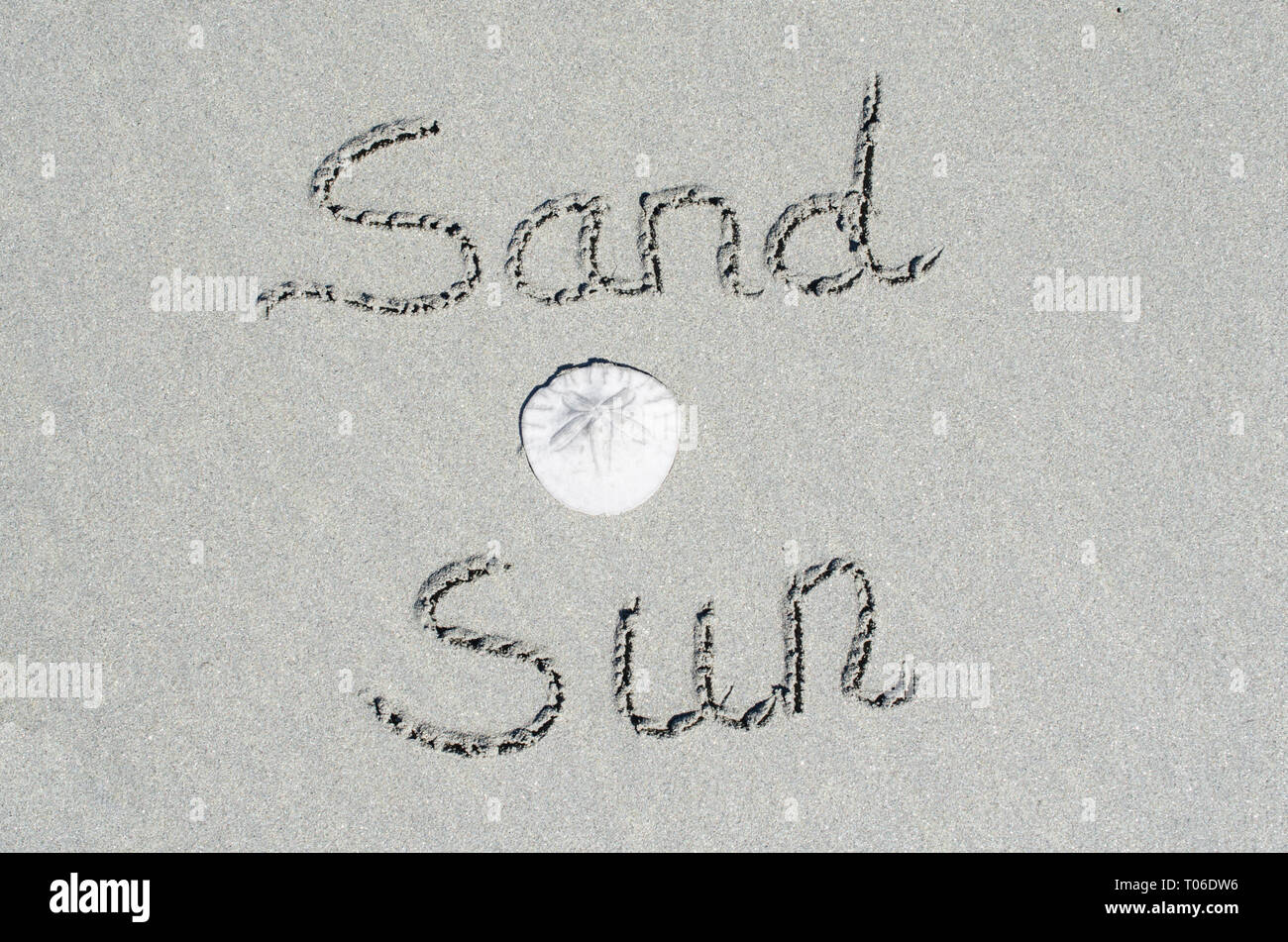Strand aus Sand und Sonne Text mit Sand Dollar. Konzept der Spaß und Freizeit Urlaub Spaß am Strand. Feiern Natur und Abenteuer Stockfoto