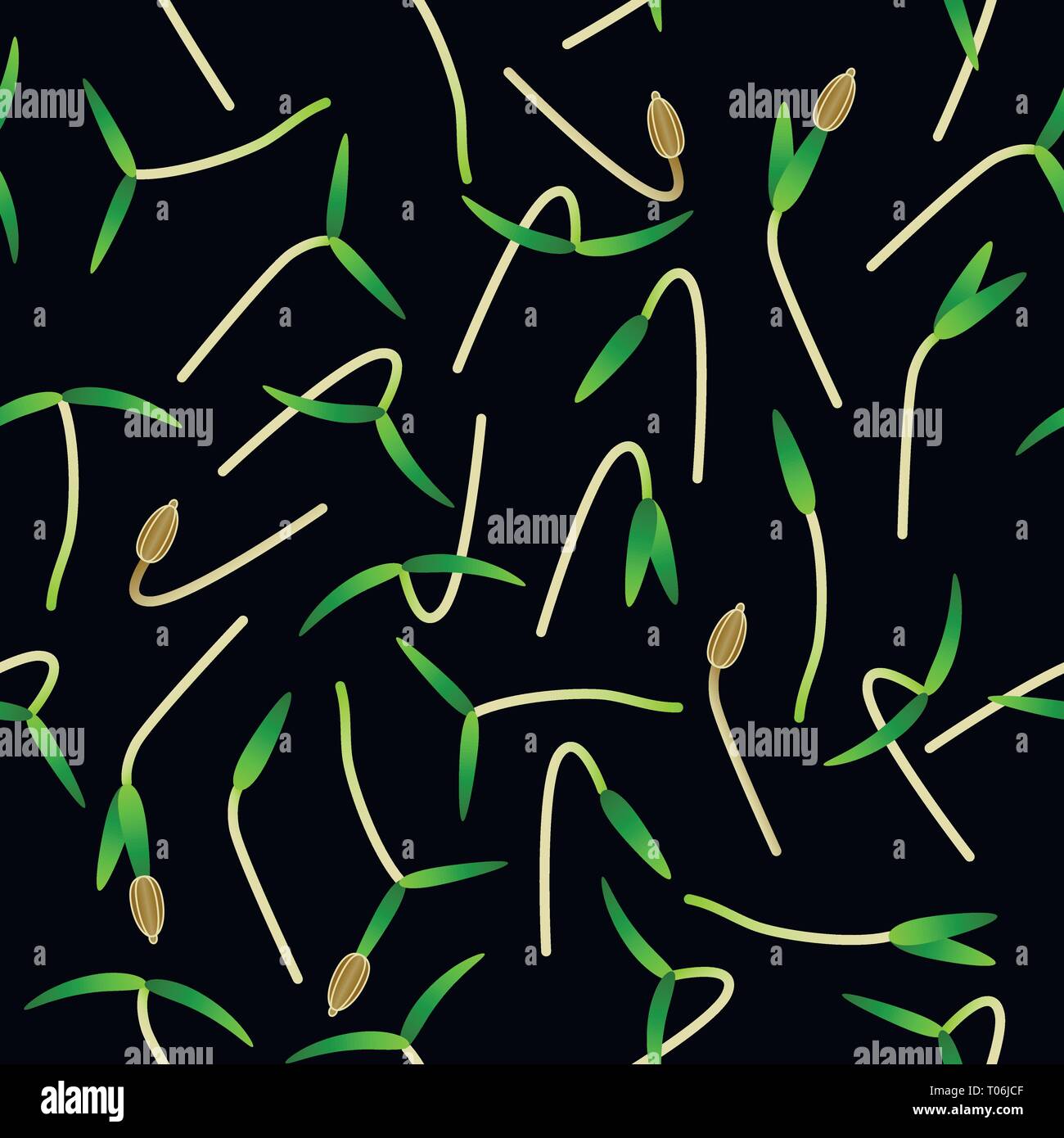 Microgreens Karotte. Keime von Samen einer Pflanze. Nahtlose Muster. Vitamin Supplement, veganes Essen Stock Vektor