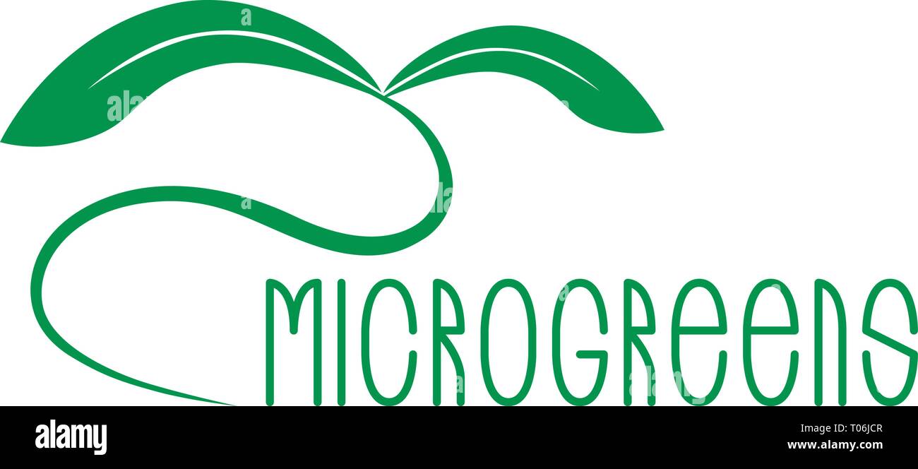 Microgreens Logo. Saatgut und Leben microgreens Packaging Design. Grunge Textur Stock Vektor