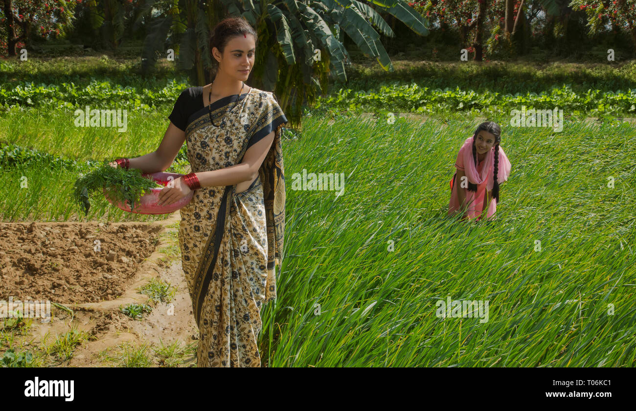 Ländliche Frau, die Blattgemüse in einem Kunststoff Gold Pan arbeiten in der Landwirtschaft Feld zusammen mit ihrer Tochter an einem sonnigen Tag. Stockfoto