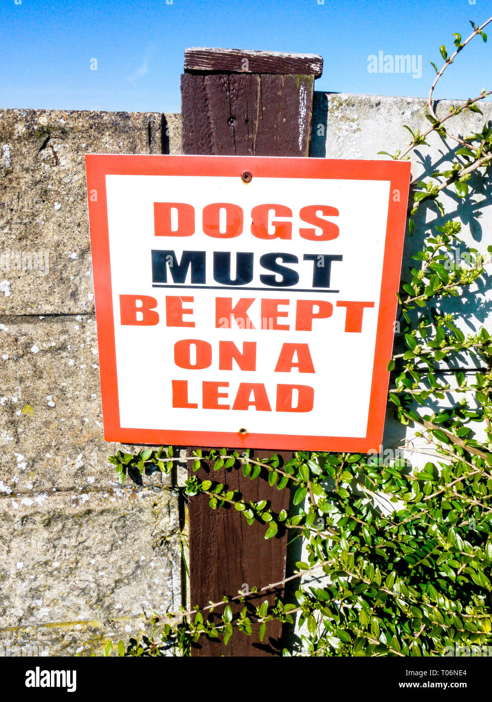 Schild "Hunde müssen an der Leine' aufbewahrt werden Stockfoto