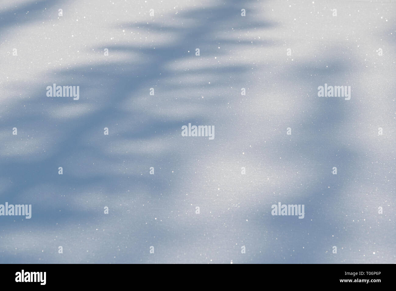 Diagonale Baum Schatten auf frischen, glitzernden Schnee Stockfoto