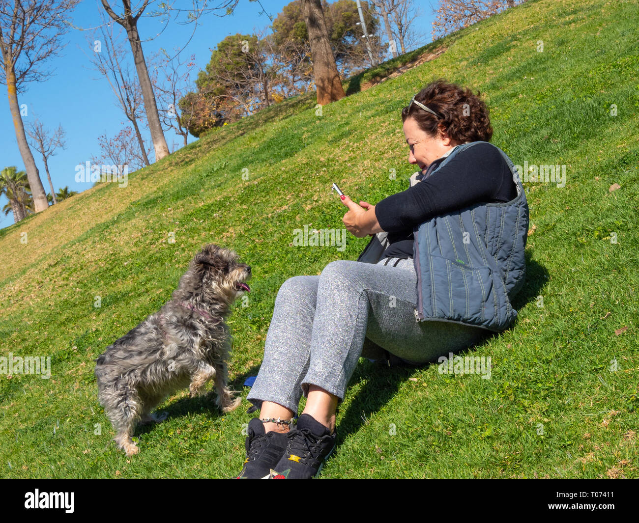 Frau spielt mit ihrem Hund Stockfoto